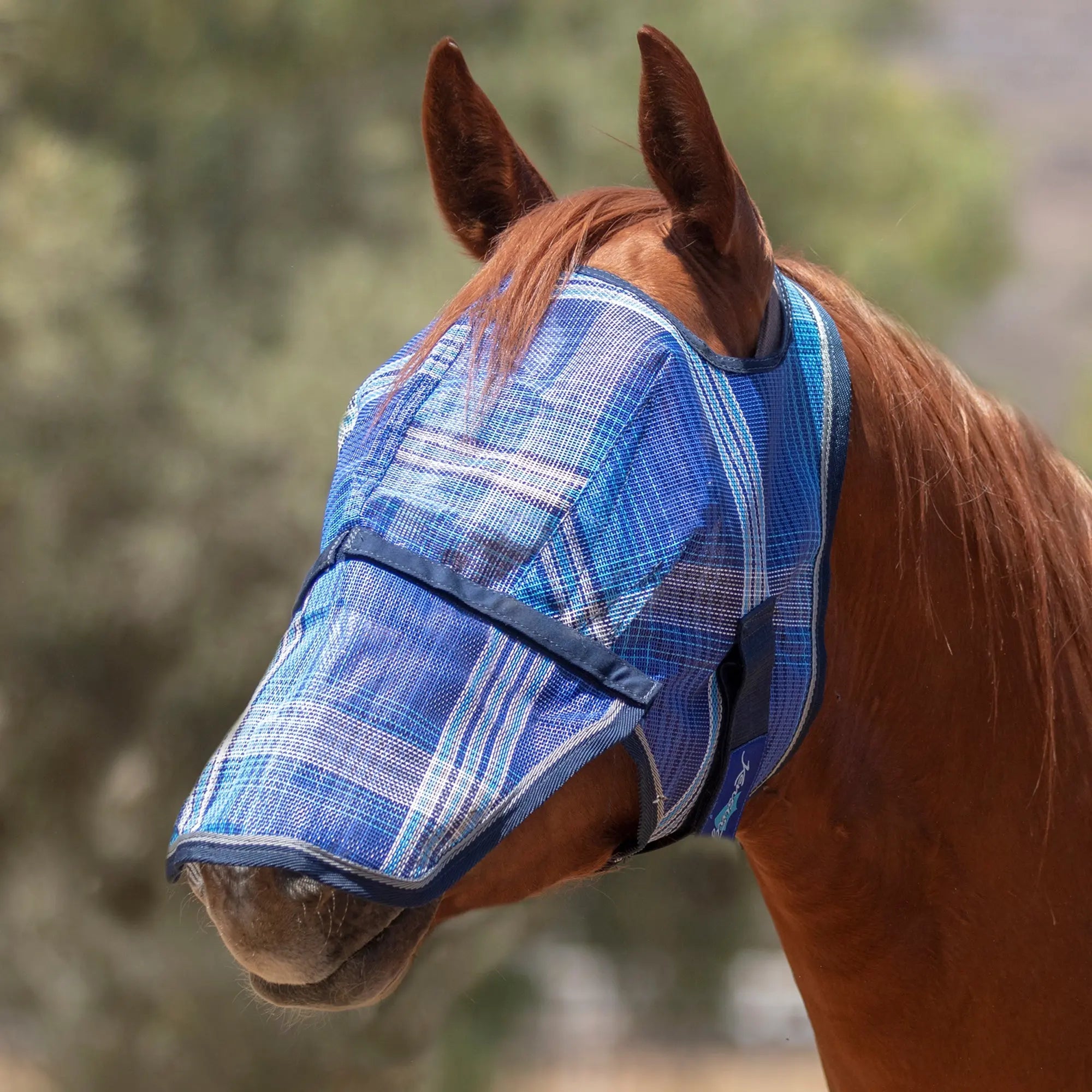 Kensington Fly Mask with Nose & 73% UV Protection - Open Top Design