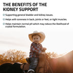 Kidney Support for Horses
