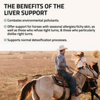 Liver Support for Horses