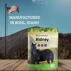 Liver Support for Horses