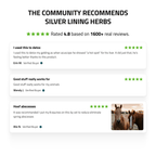 Liver Support for Horses