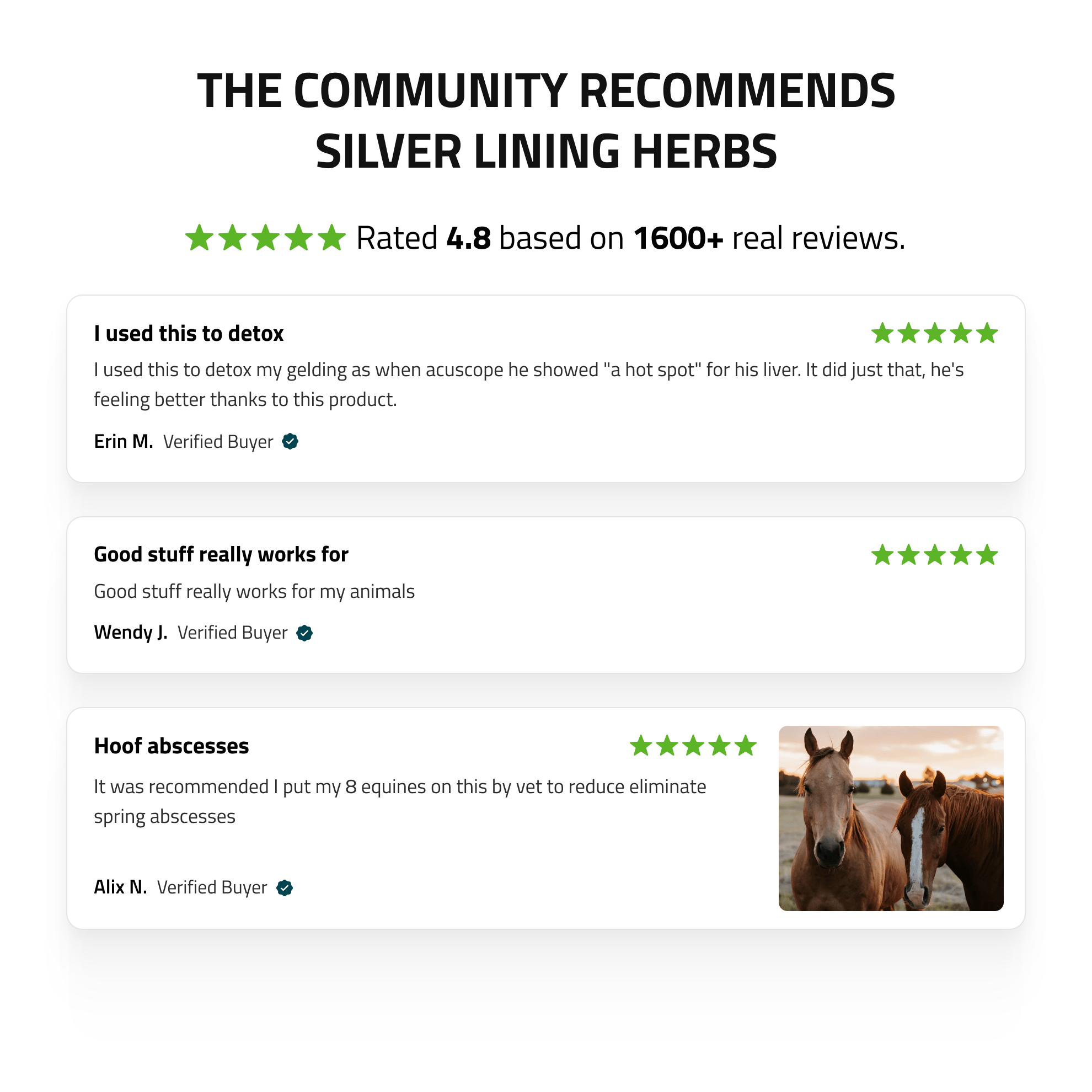 Liver Support for Horses