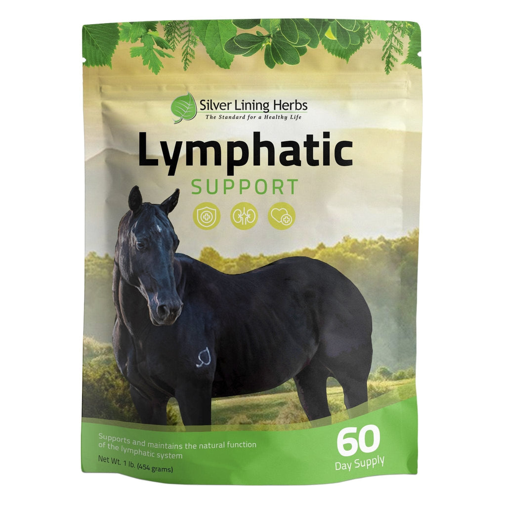 Lymphatic Support for Horses
