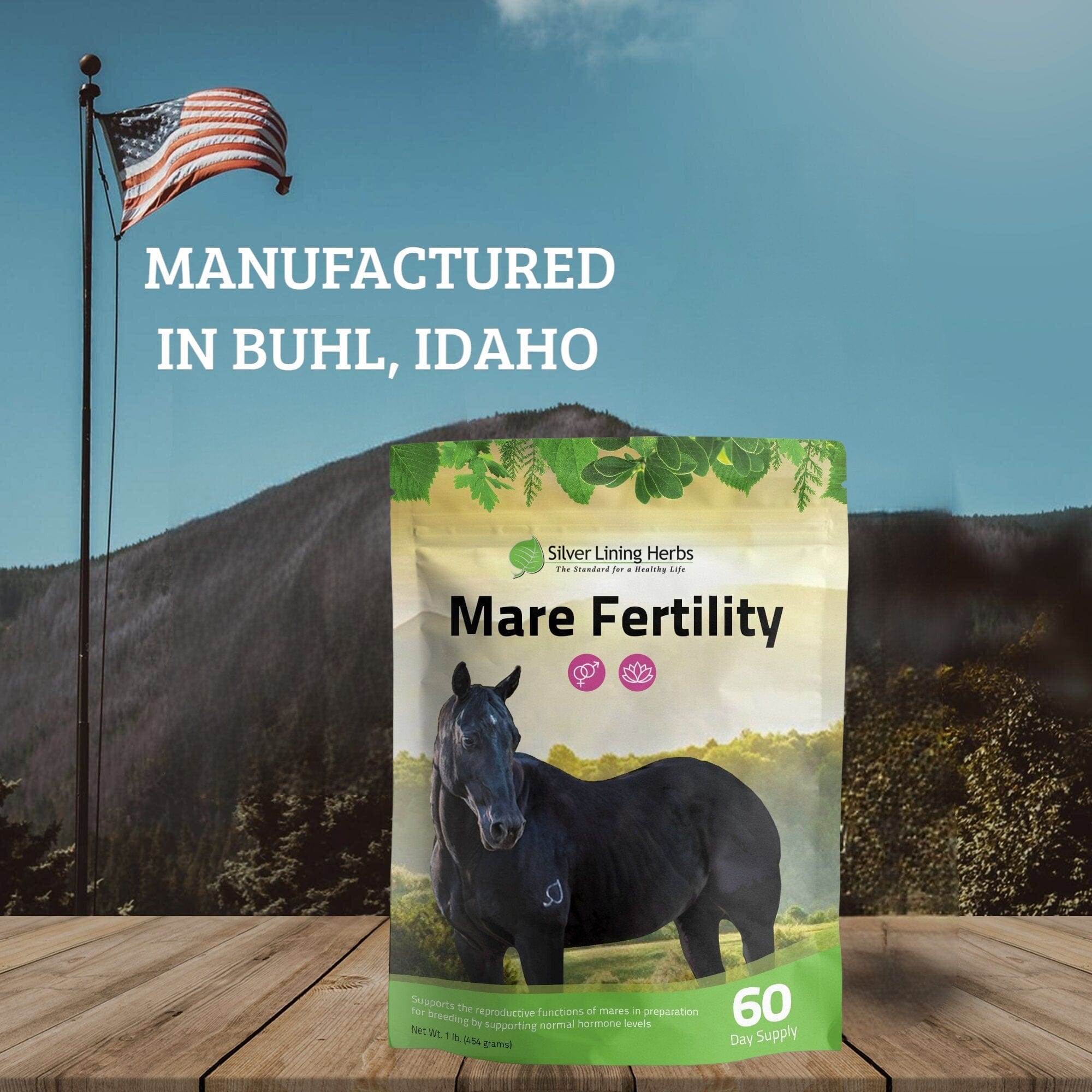 Mare Fertility For Horses