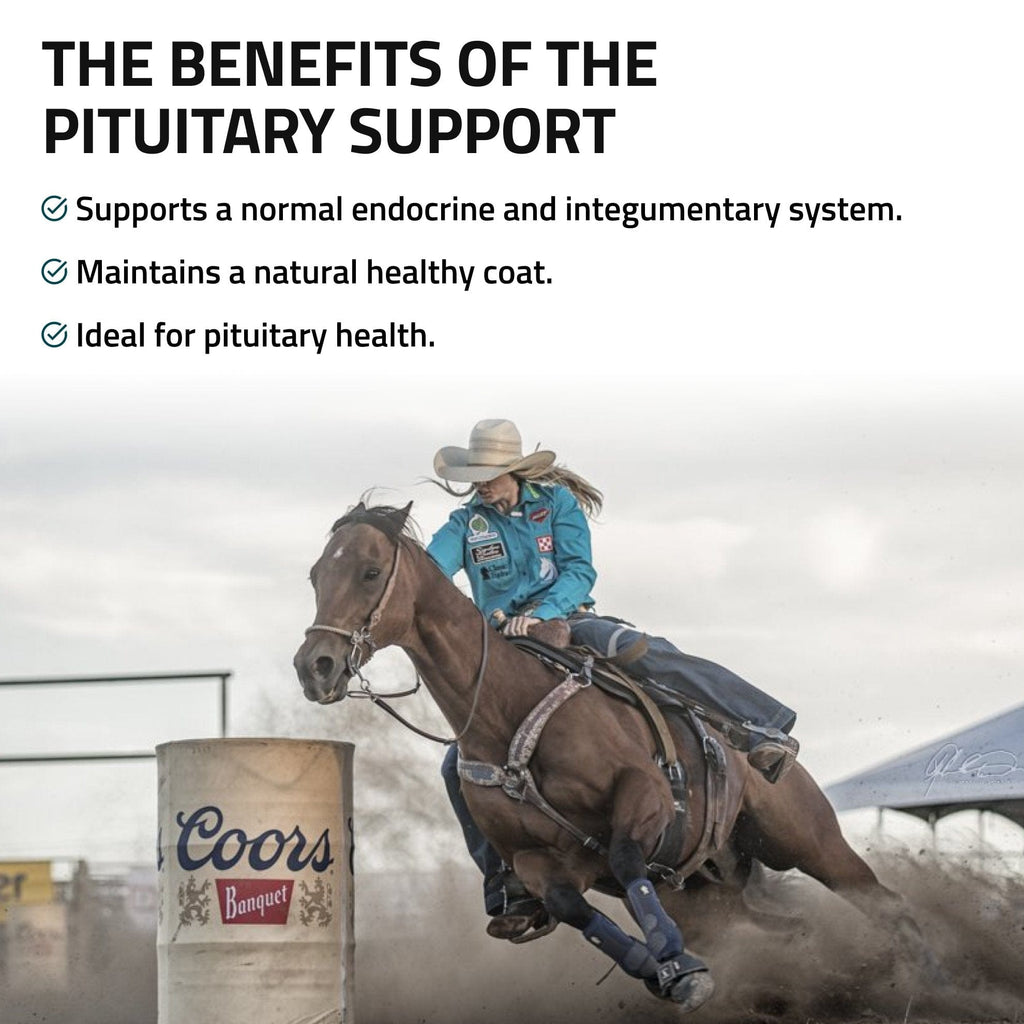 Pituitary Support for Horses