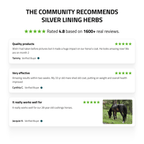 Pituitary Support for Horses