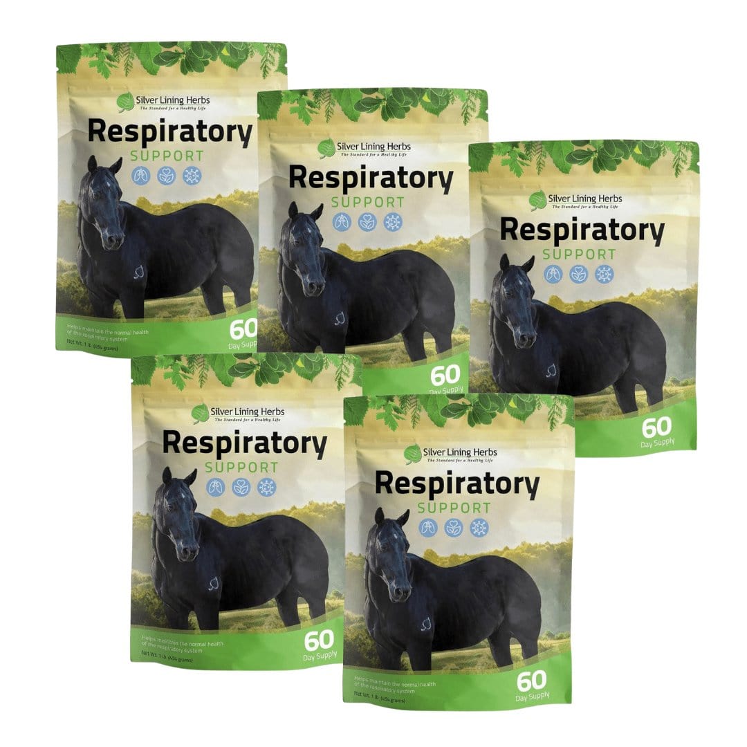 Respiratory Support for Horses