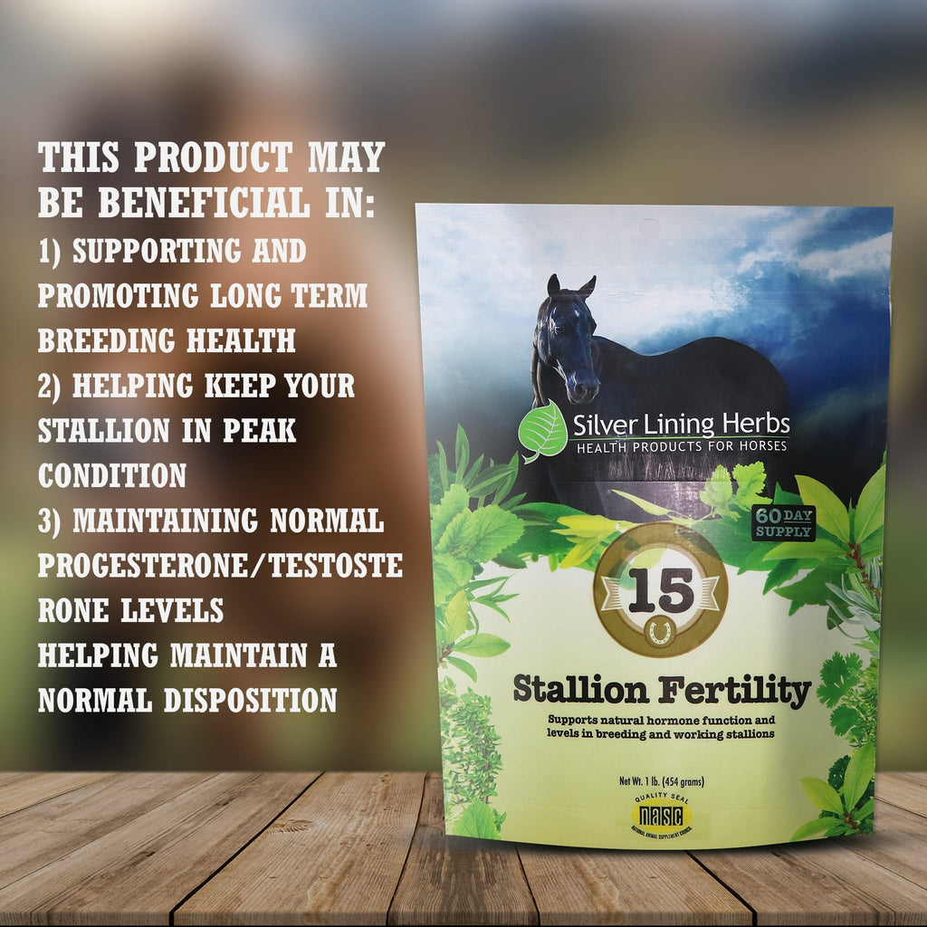 Stallion Fertility For Horses