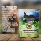Stallion Fertility For Horses